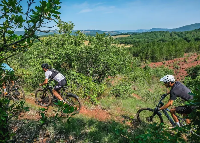 Vakantiehuis Ancienne Batisse Renovee *